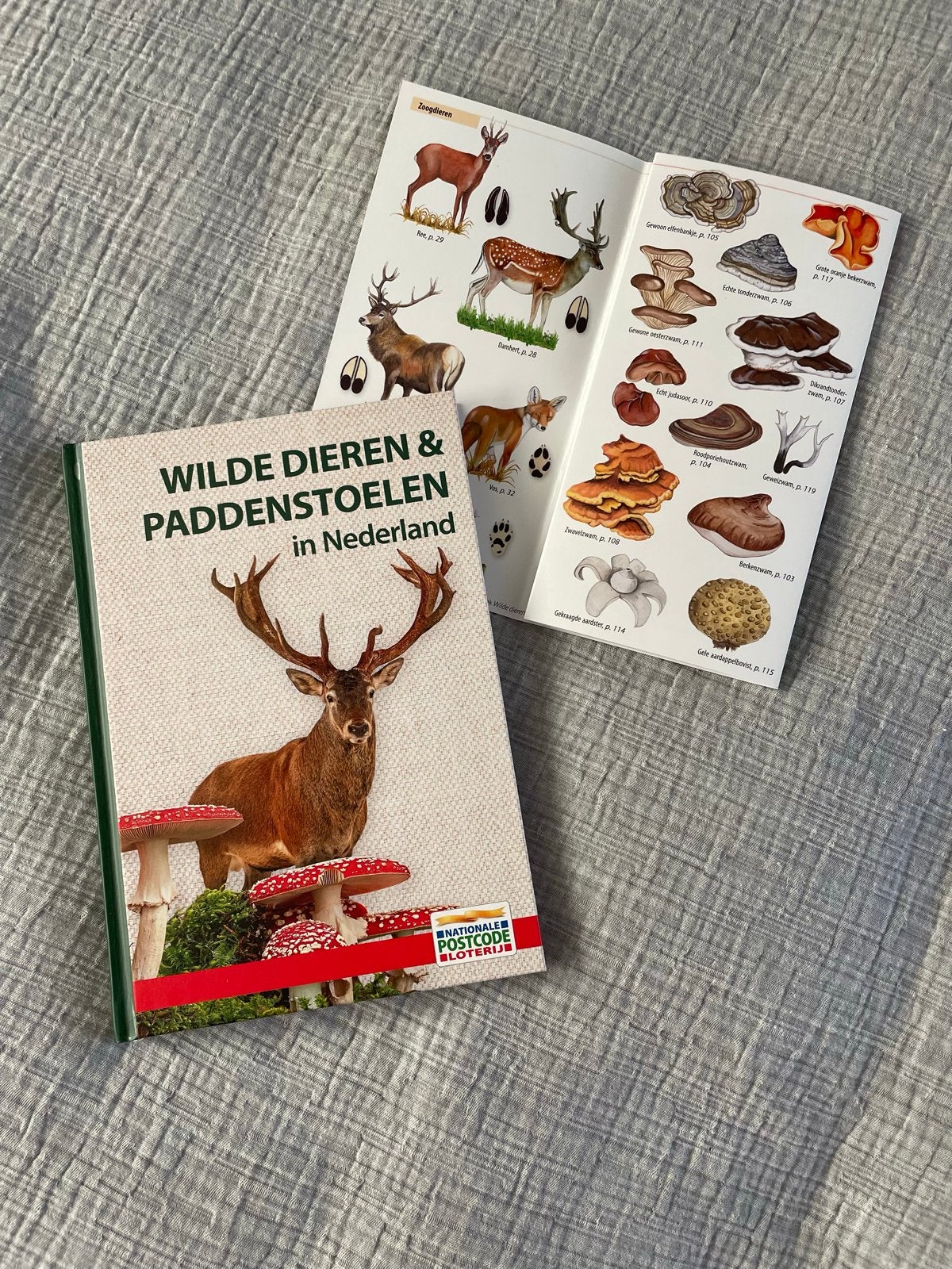 Wilde dieren & paddenstoelen in Nederland, Boeken, Ophalen of Verzenden, Zo goed als nieuw, Natuur algemeen