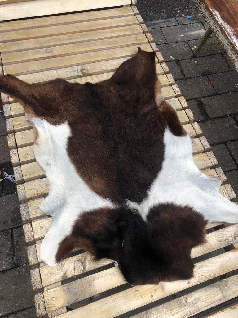 Geitenvacht 100% dierlijk haar, Ophalen of Verzenden, Gebruikt, Rechthoekig, 50 tot 100 cm
