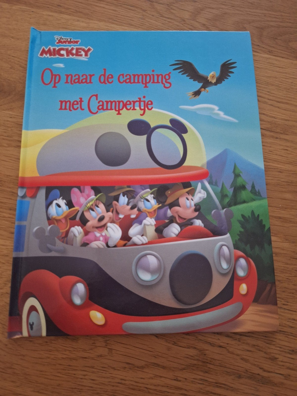 Boek van Mickey Mouse., Boeken, 5 of 6 jaar, Fictie algemeen, Jongen of Meisje, Ophalen of Verzenden