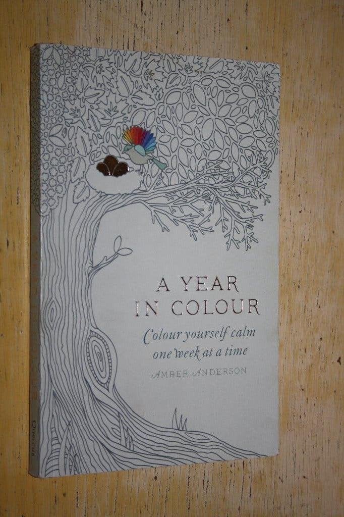 kleurboek Amber Anderson A Year in Color Color Yourself Calm, Ophalen of Verzenden, Zo goed als nieuw