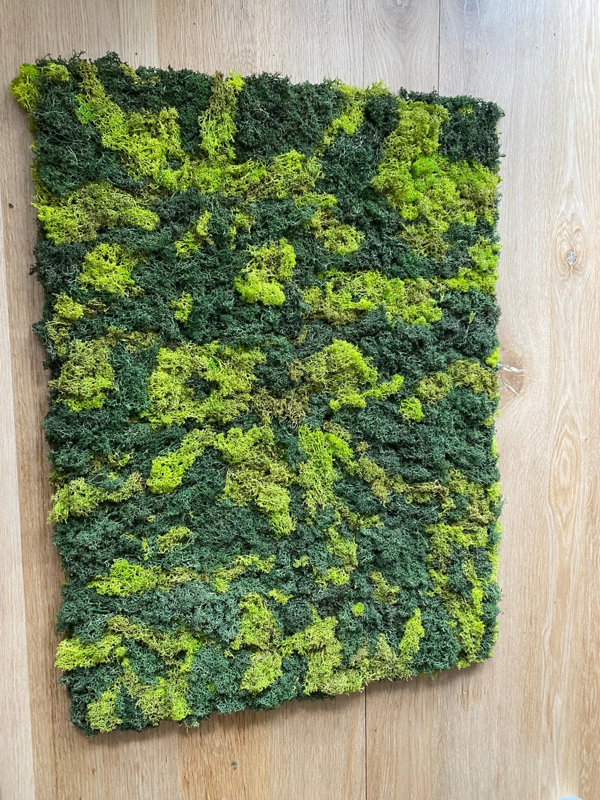 Rendiermos kunstwerk op canvas - 55x75cm, Ophalen, Groen, Decoratieobject, Zo goed als nieuw