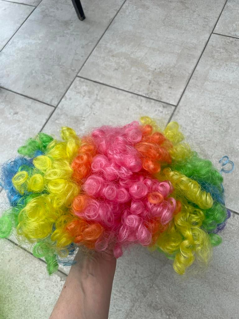 Kleurrijke Krullen Pruik - Regenboog Clown Pruik, Ophalen of Verzenden, Gebruikt, Jongen of Meisje