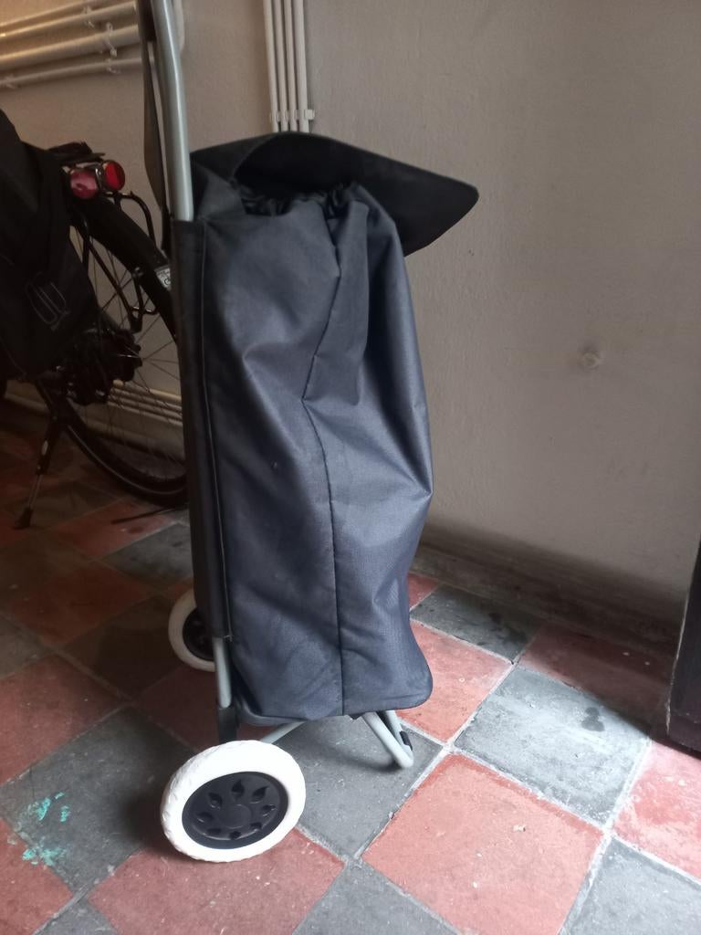 Boodschappen trolley boodschappenwagentje boodschappenkar, Ophalen, 30 cm of meer