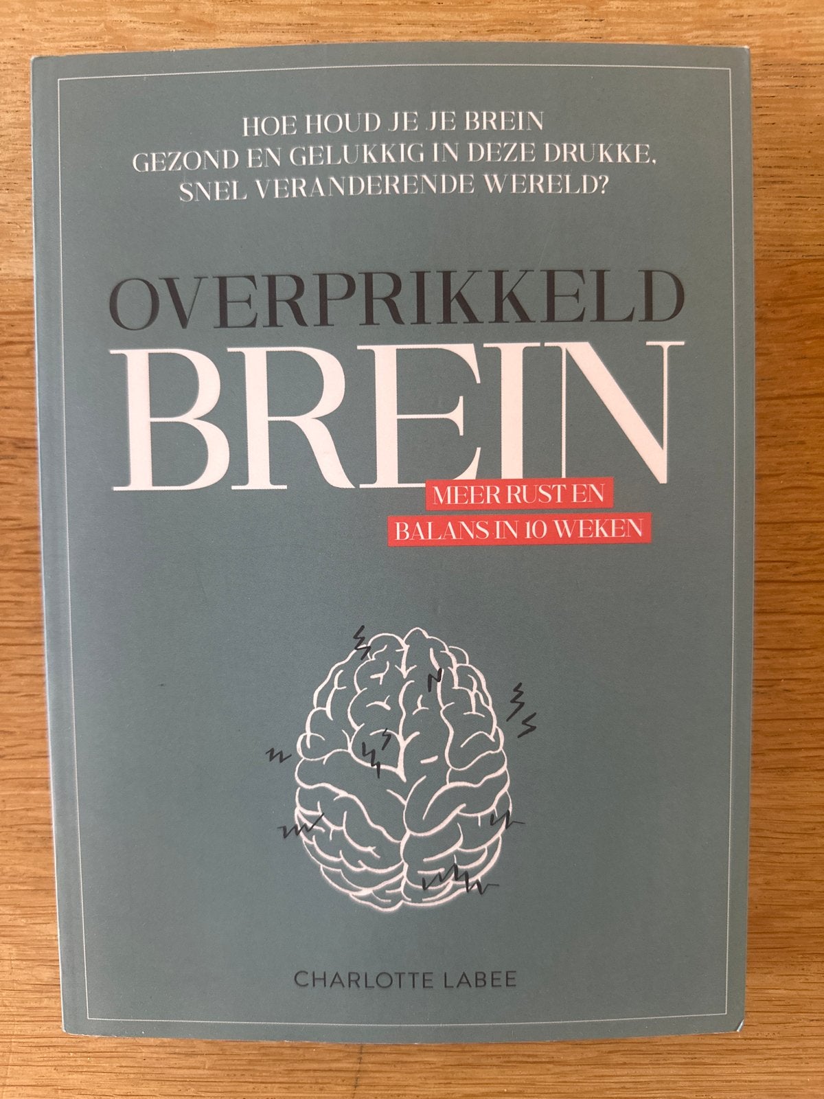 Overprikkeld Brein: Meer rust en balans in 10 weken, Ophalen of Verzenden, Zo goed als nieuw, Gezondheid en Conditie