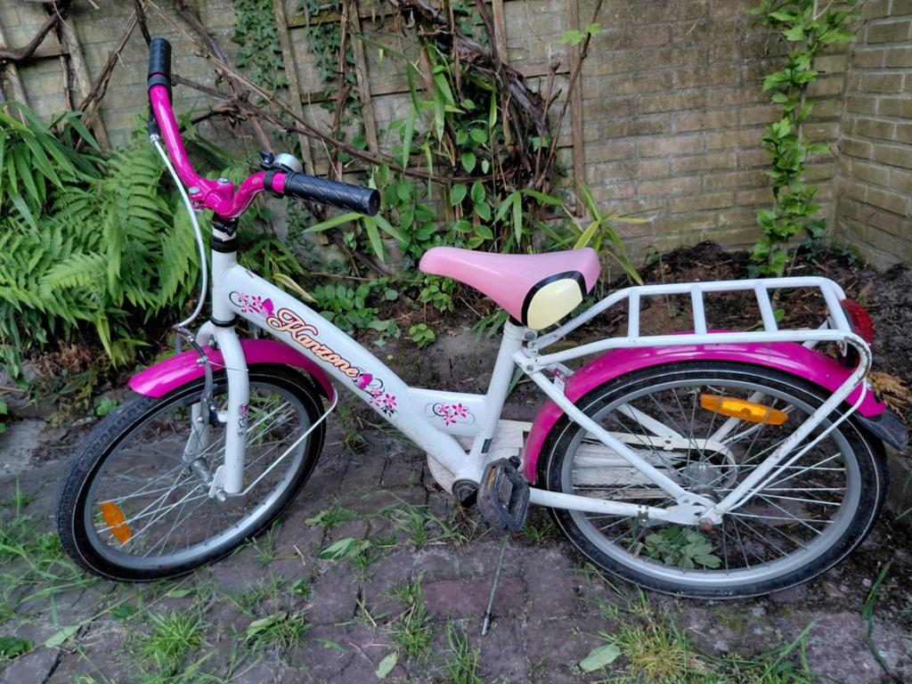 Meisjesfiets 20 inch, Ophalen, Gebruikt, 20 inch