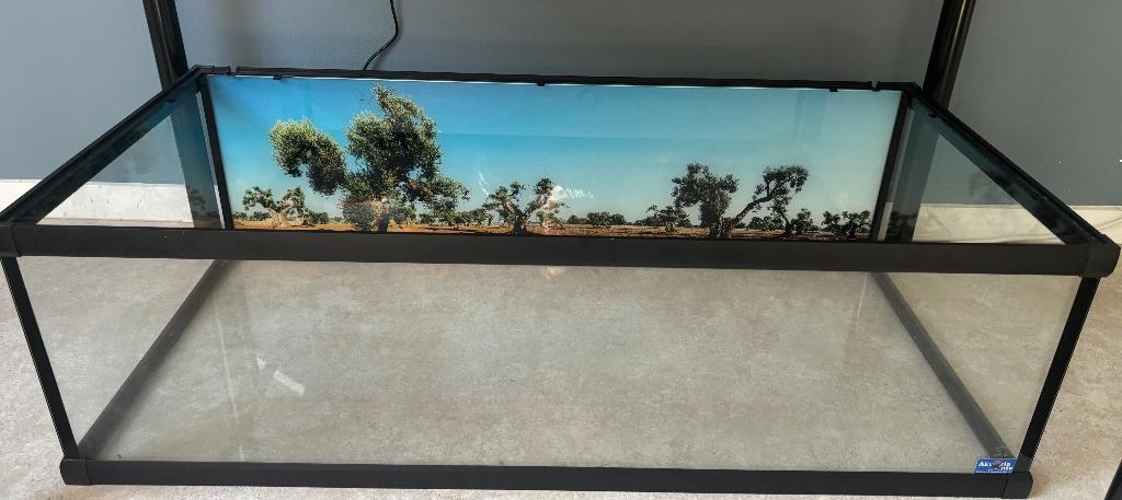 GRATIS Terrarium voor landschildpad  100x50x30, Dieren en Toebehoren, Ophalen, Zo goed als nieuw, Terrarium of Paludarium