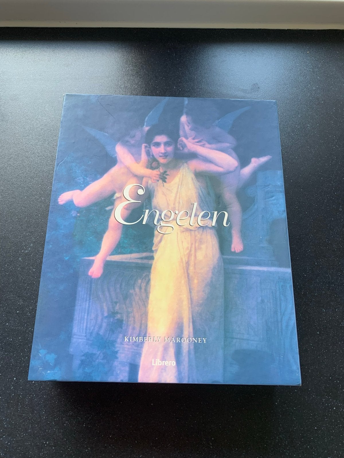 Engelen: Handreiking tot Spirituele Begeleiding & Inspiratie, Ophalen of Verzenden, Zo goed als nieuw, Spiritualiteit algemeen