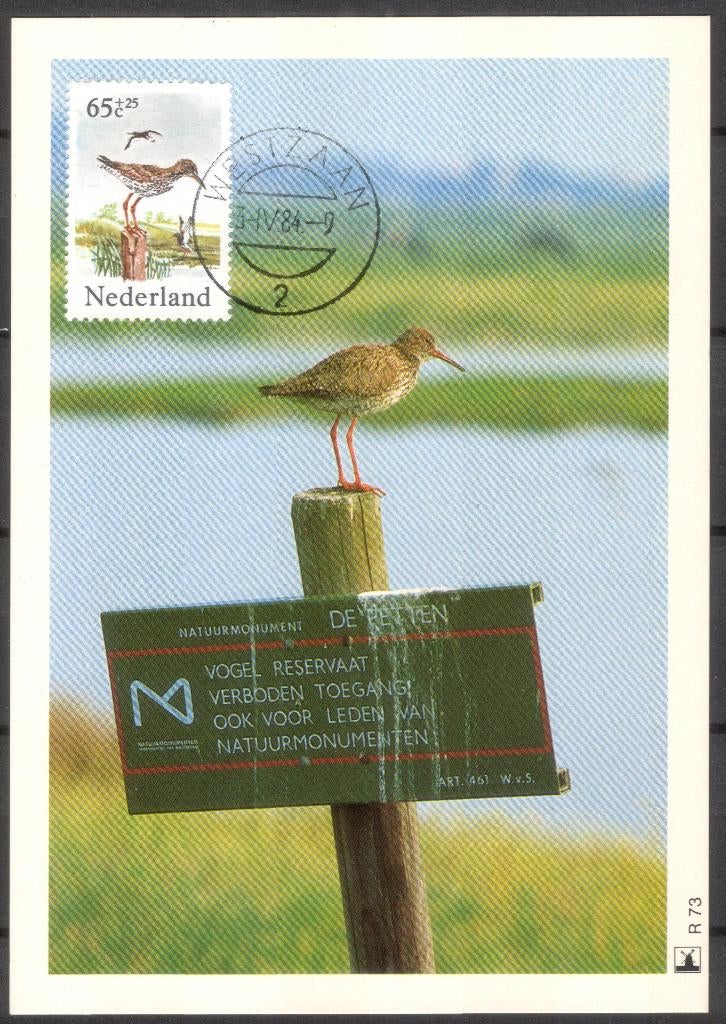 Vogel - Tureluur, Verzenden, 1980 tot heden, Ongelopen, Vogel