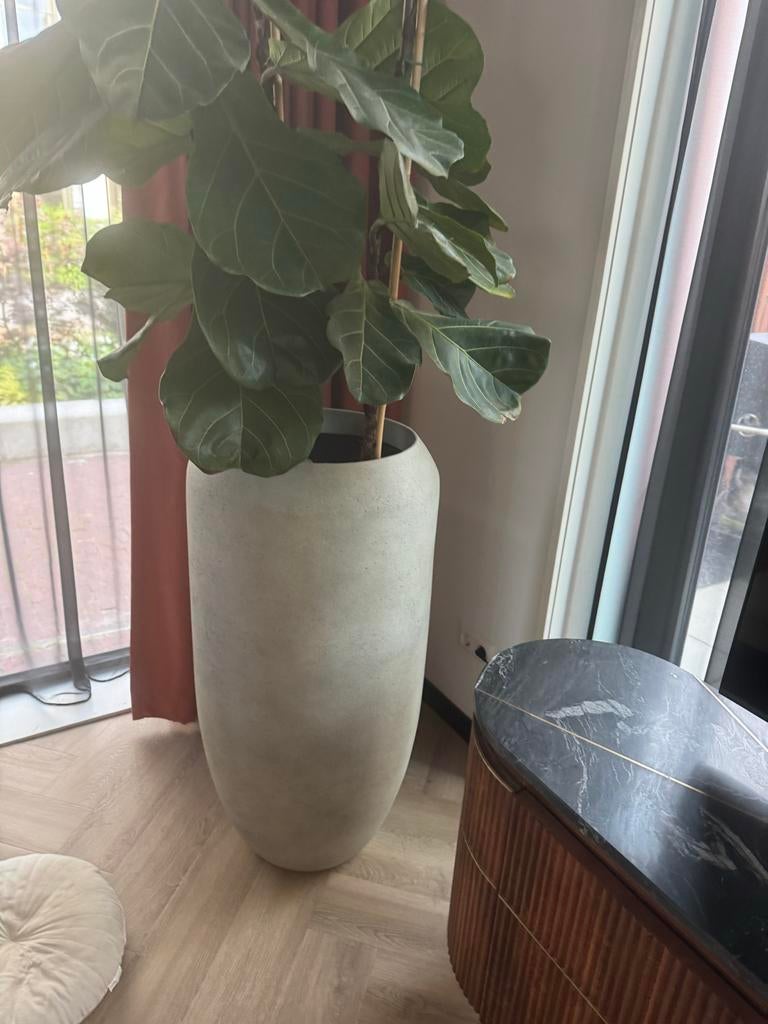 Plantenpot 100x50cm cementlook, Tuin en Terras, Bloempotten, Gebruikt, 40 cm of meer, Rond, Ophalen of Verzenden