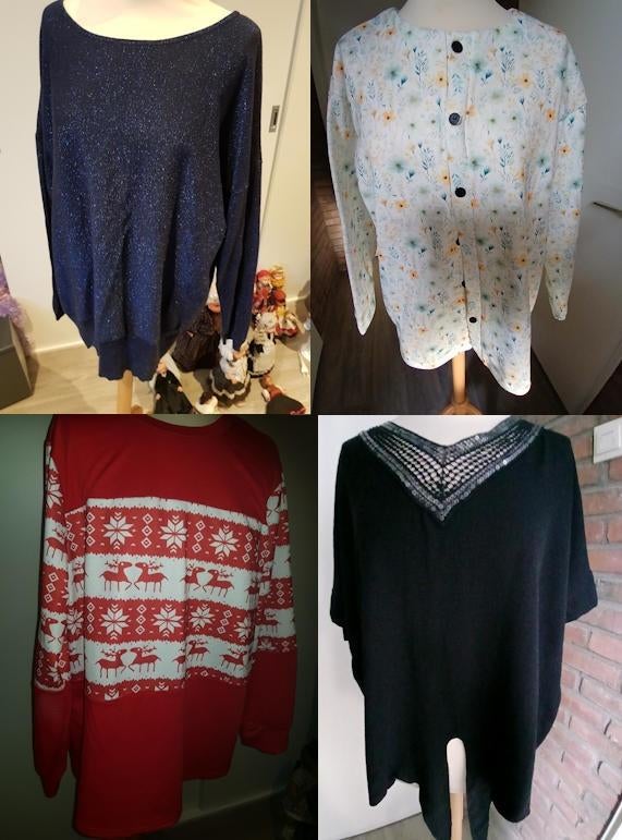 pakket 4 stuks 2 truien / T-shirt en vest, maat XL  44, Ophalen of Verzenden, Zo goed als nieuw, Maat 42/44 (L), Overige kleuren
