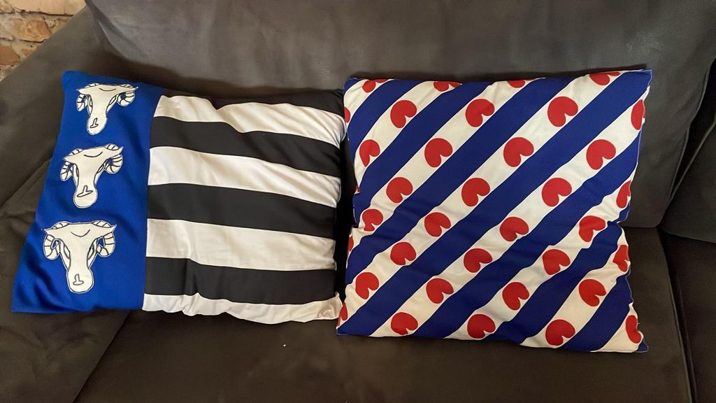 Leuke sierkussens, Ophalen of Verzenden, Nieuw, Overige kleuren, Vierkant