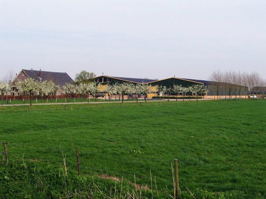Vita Holz houtpellets 100% Naaldhout 15kg Volle pallet 990kg, Minder dan 3 m³, Ophalen, Overige houtsoorten, Blokken