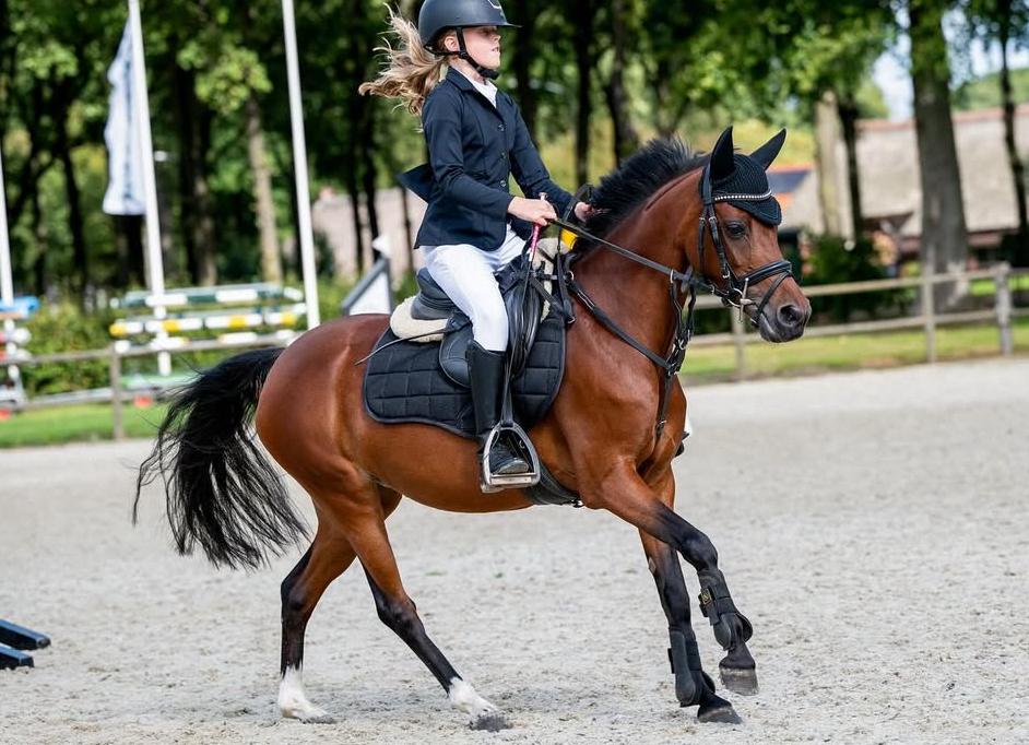 Chique C pony!, Merrie