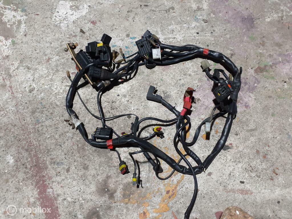 Kabelboom draadboom Monster 600 750 900 carburateur, Motoren, Onderdelen | Ducati, Ophalen of Verzenden, Gebruikt