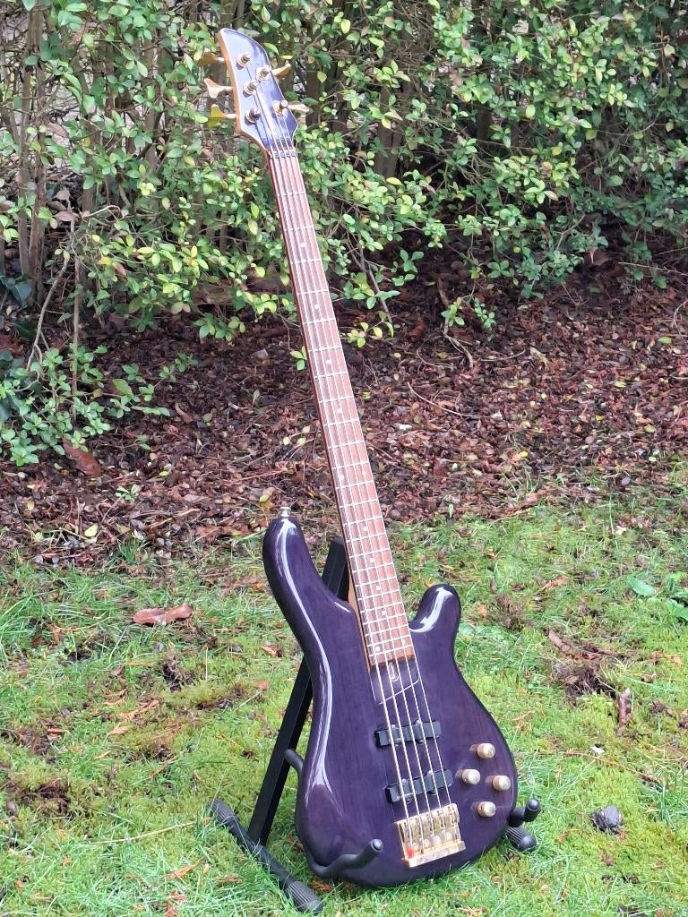 Fernandes APB-100 STP/R, 5-snarige basgitaar. I.z.g.st., Muziek en Instrumenten, Ophalen, Gebruikt, Elektrisch, 5-snarig