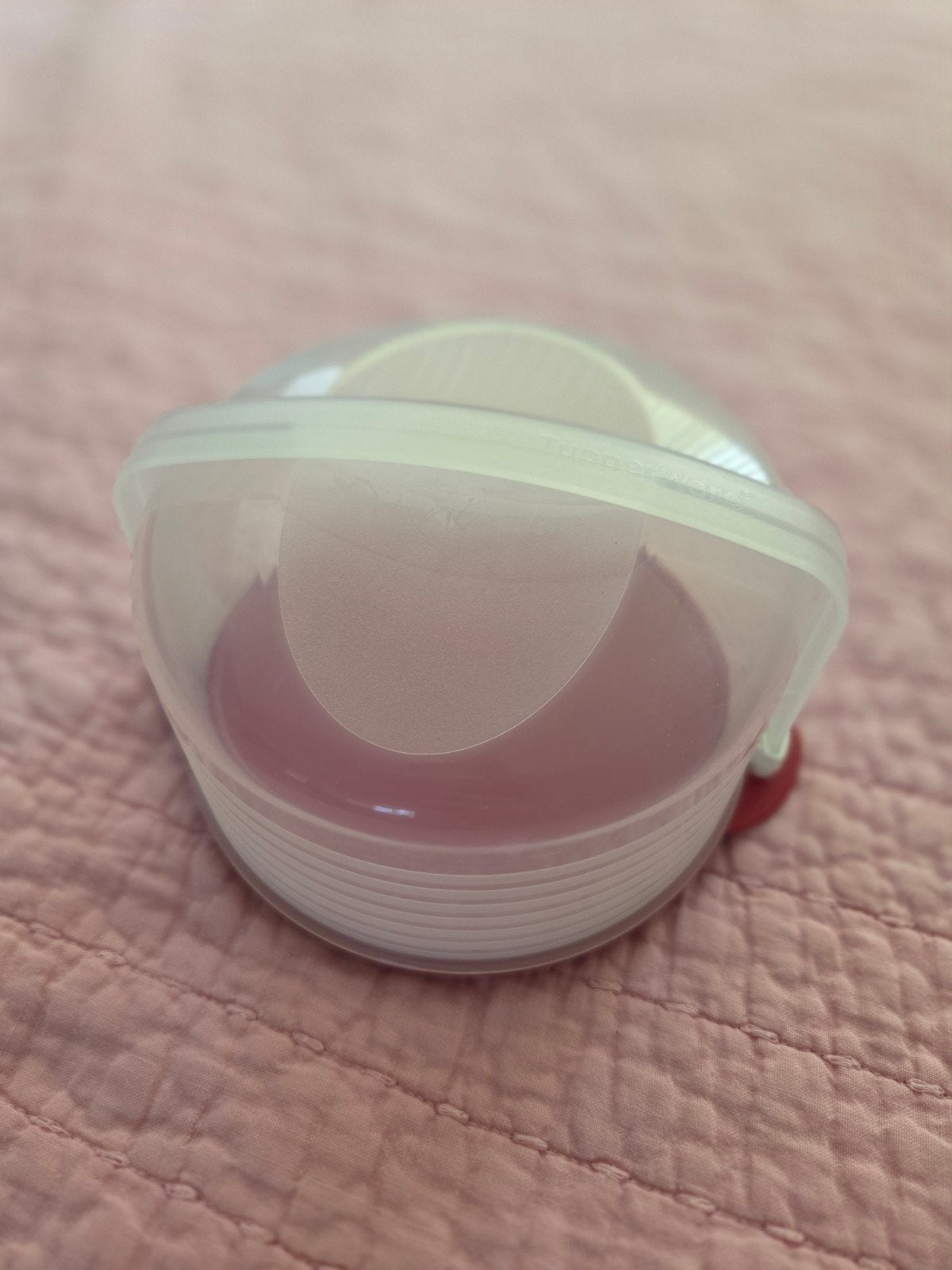 Tupperware taartdoos / gebaksdoos rood/transparant, Ophalen of Verzenden, Gebruikt, Rood, Overige typen