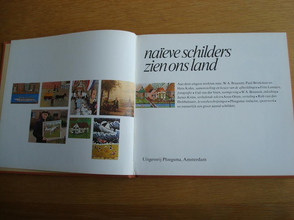 Boek Naiéve schilders zien ons land. Kunst, Ophalen of Verzenden, Zo goed als nieuw