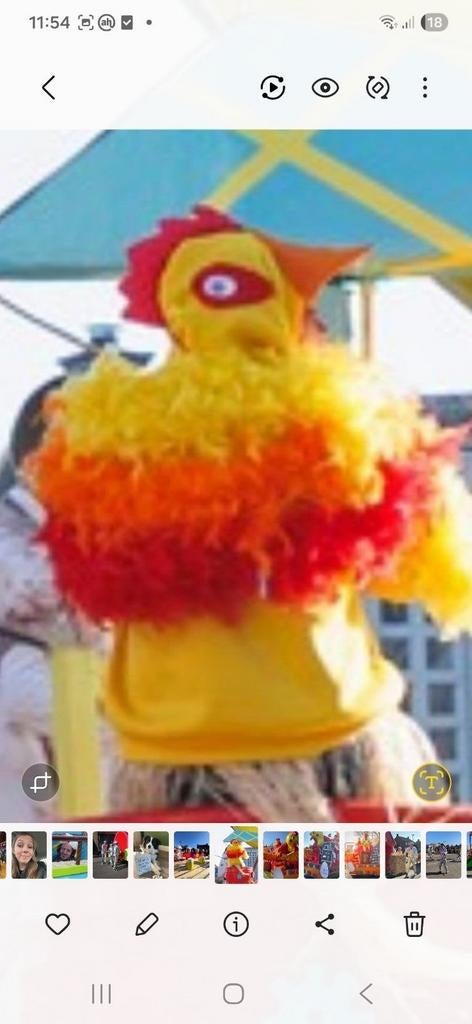 KIp hoodie, Ophalen of Verzenden, Zo goed als nieuw, Carnaval