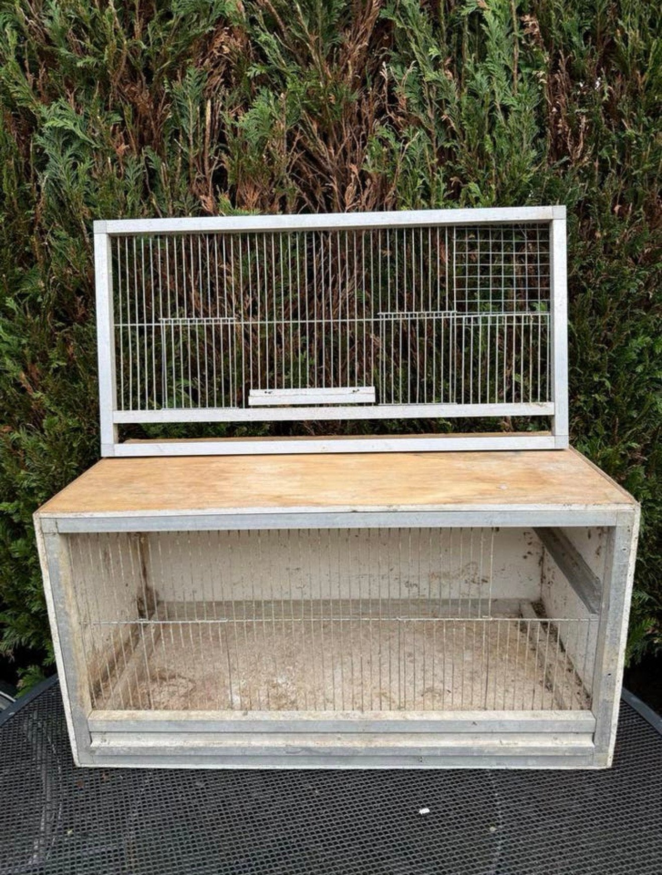 Kweekkooi, Dieren en Toebehoren, Vogels | Hokken en Kooien, Ophalen, Zo goed als nieuw, Hout, Broedkooi of Kweekkooi