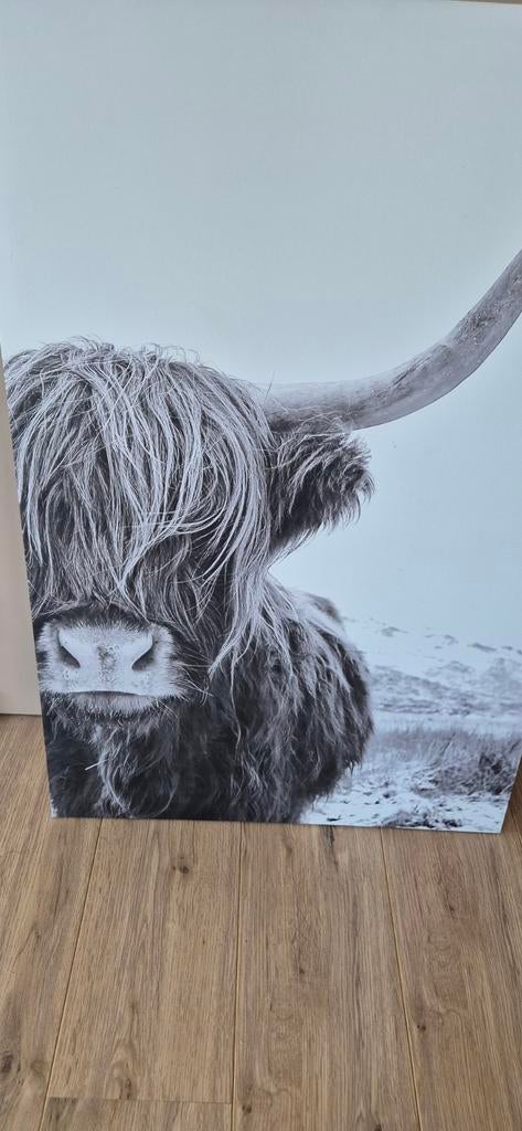 Zwart wit canvas doek met koe, Ophalen, Zo goed als nieuw, Schilderij