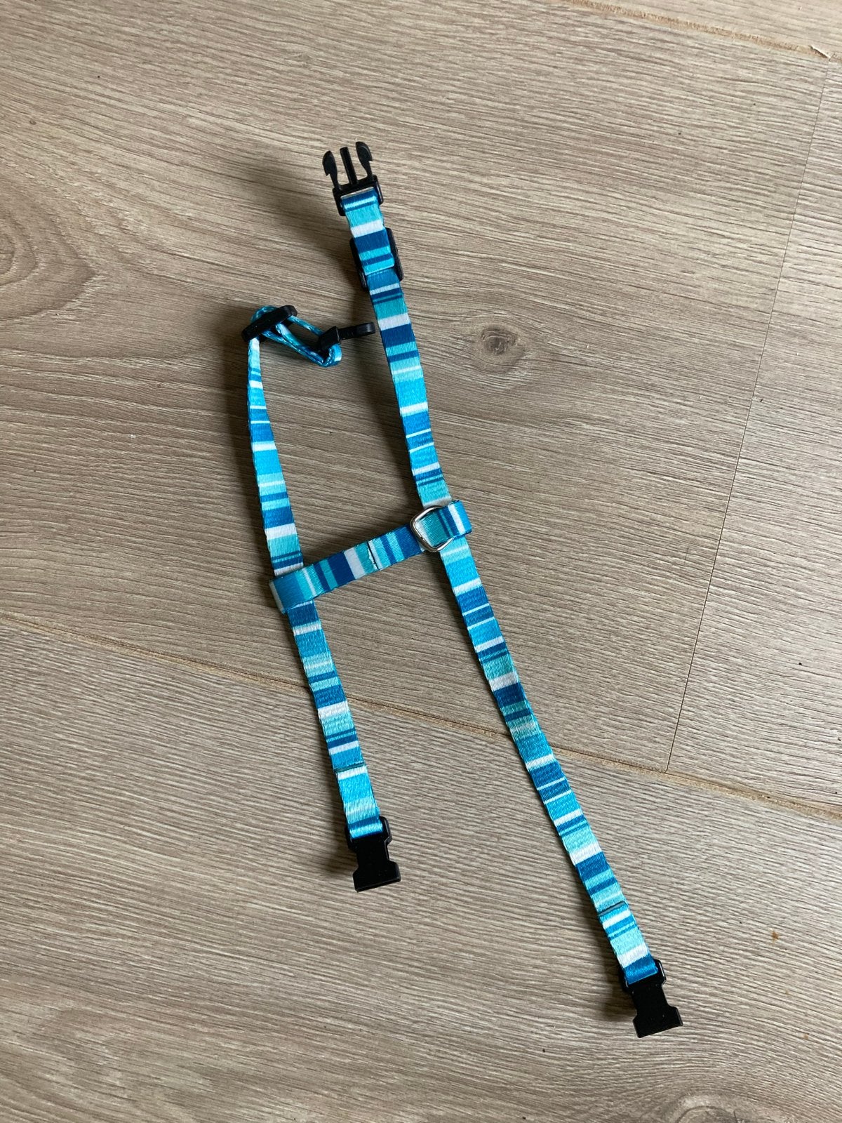 Kitten tuigje, Ophalen of Verzenden, Nieuw
