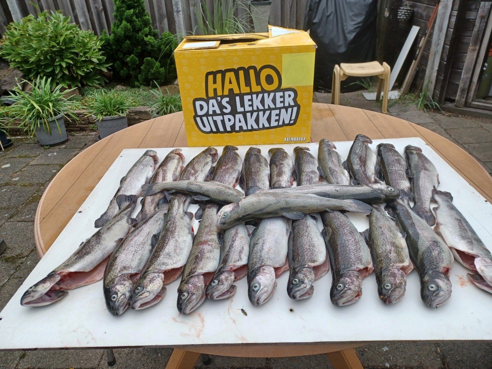 Verse en gerookte forellen, Ophalen, Overige typen