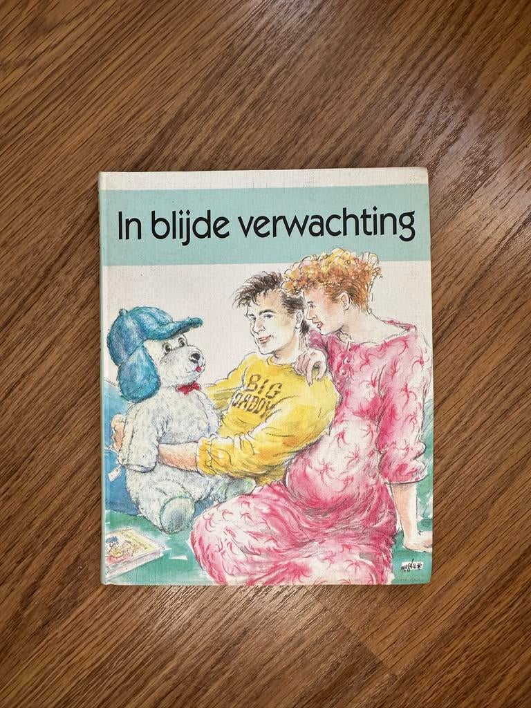In blijde verwachting - boek over zwangerschap, Ophalen of Verzenden, Gelezen, Zwangerschap en Bevalling