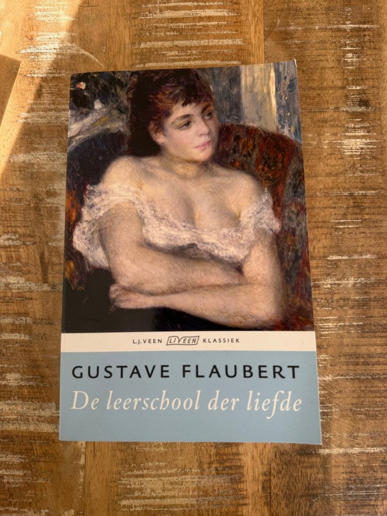 De leerschool der liefde - Gustave Flaubert, Ophalen of Verzenden, Zo goed als nieuw, Gustave Flaubert, Europa overig