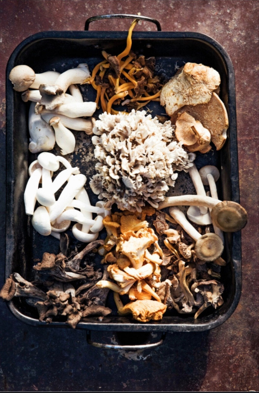 Set om paddestoelen te kweken. containers, steriel werken,, Ophalen of Verzenden, Nieuw