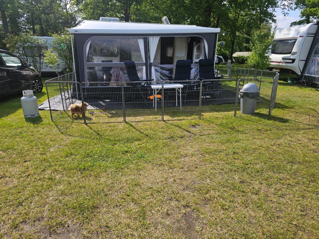 Puppyren 2 sets, Dieren en Toebehoren, Ophalen