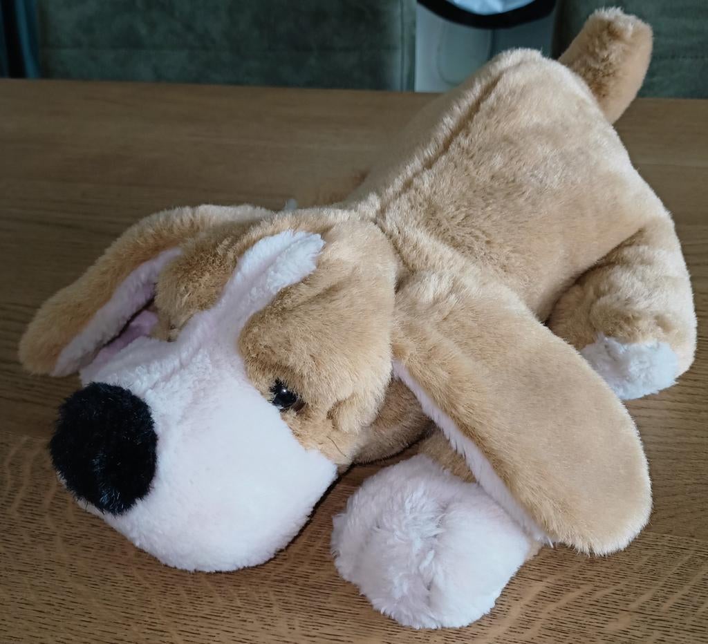 Rabobank hond Bo., Zo goed als nieuw, Wasbaar, Middelgroot (20 tot 80 cm), Bruin