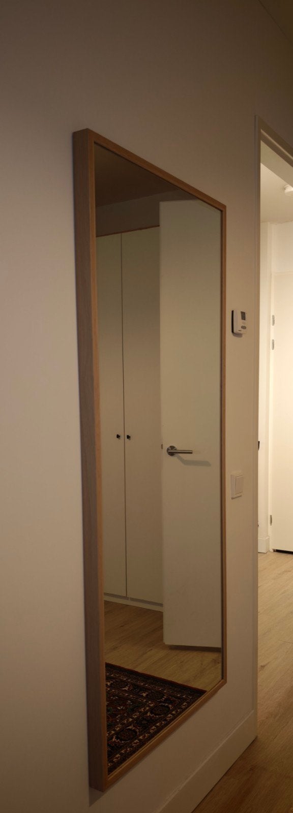 Spiegel lang, Ophalen, 25 tot 50 cm, 50 tot 100 cm, Minder dan 100 cm