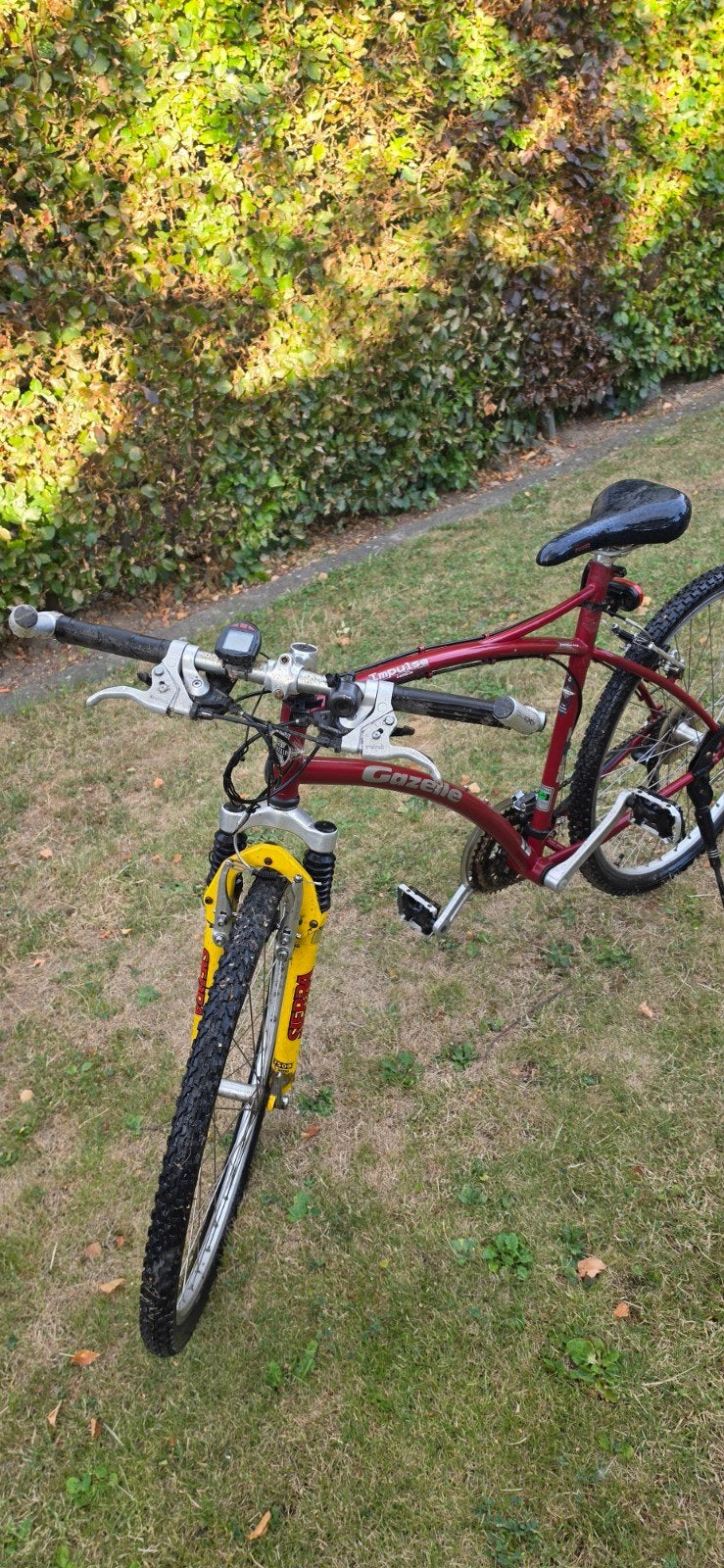 gazelle impulse, Ophalen, Gebruikt, Staal, 24 inch of meer
