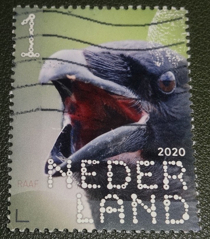 Beleef de Natuur - 3865 - 2020 - Raaf - PNe01-07, Verzenden, Na 1940, Gestempeld
