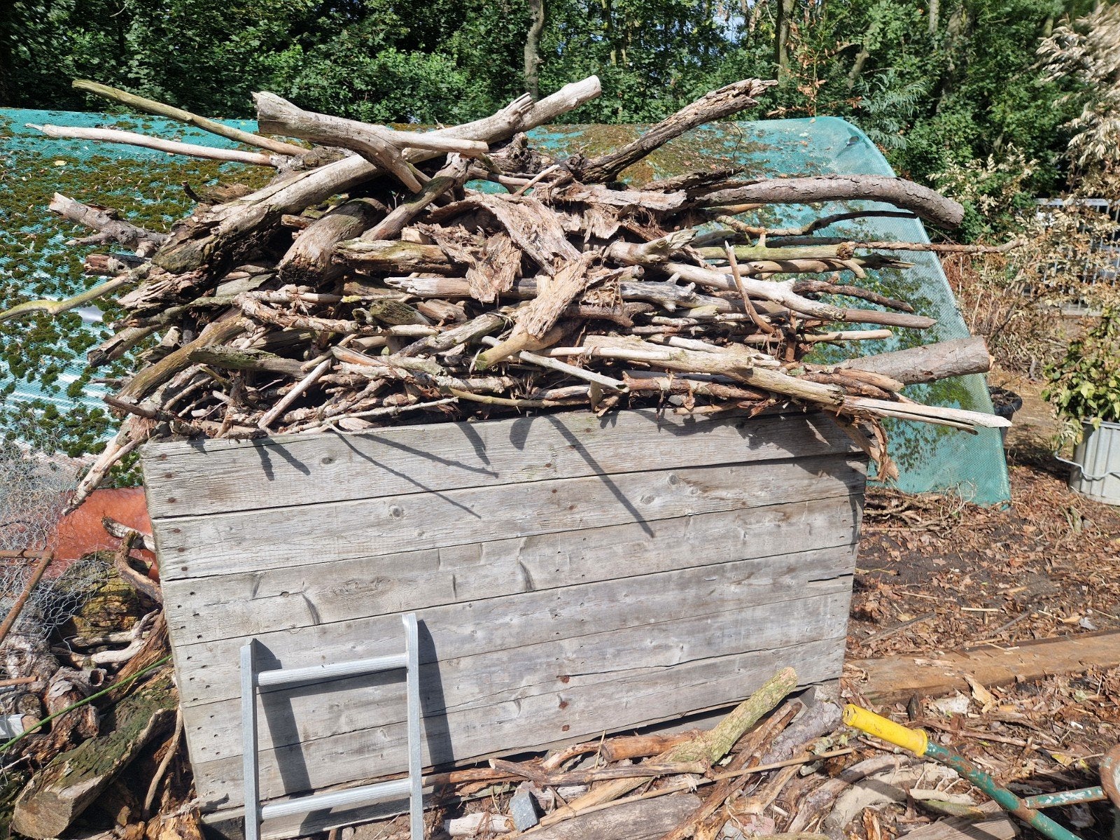 Diverse takken en klein hout voor openhaard, Minder dan 3 m³, Ophalen, Overige houtsoorten, Takken