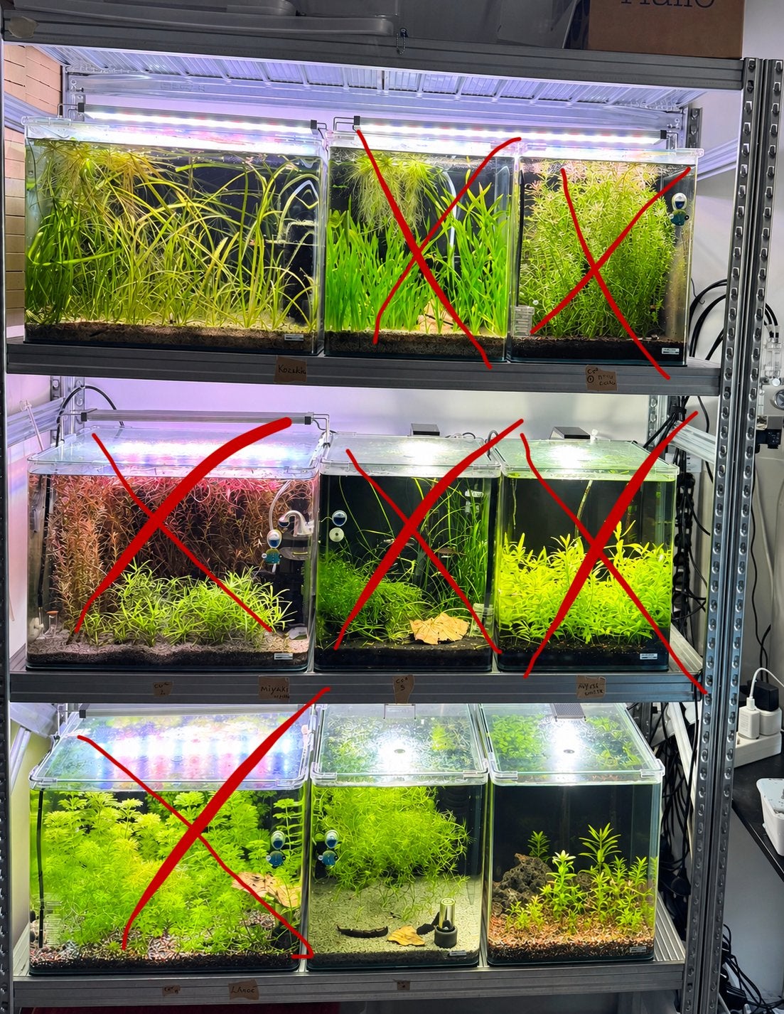 3x Dennerle complete aquariums te koop - stop met de hobby, Ophalen, Dennerle, Zo goed als nieuw, Leeg aquarium