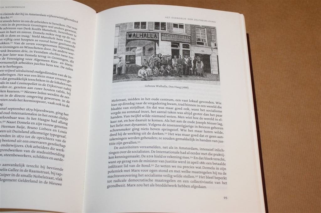 Domela Nieuwenhuis — Dik Boek, Socialist & Anarchist, Boeken, Ophalen of Verzenden, Gelezen, Nederland