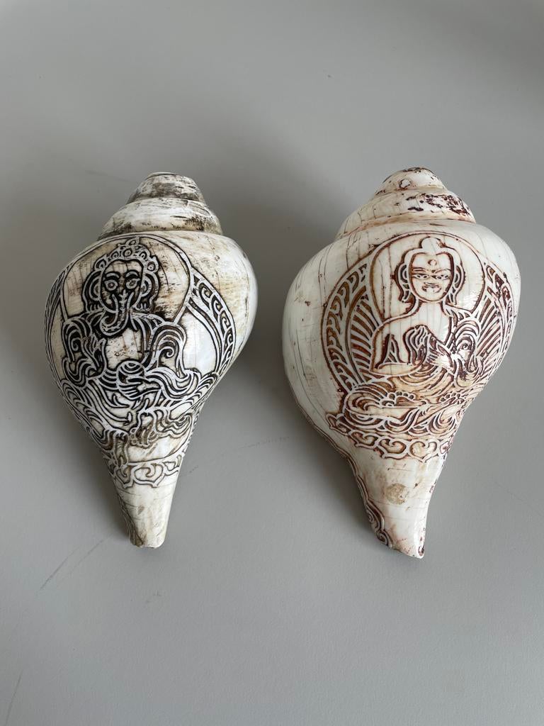 Handgegraveerde Conch Schelpen - Meditatie & Yoga Instrument, Ophalen of Verzenden