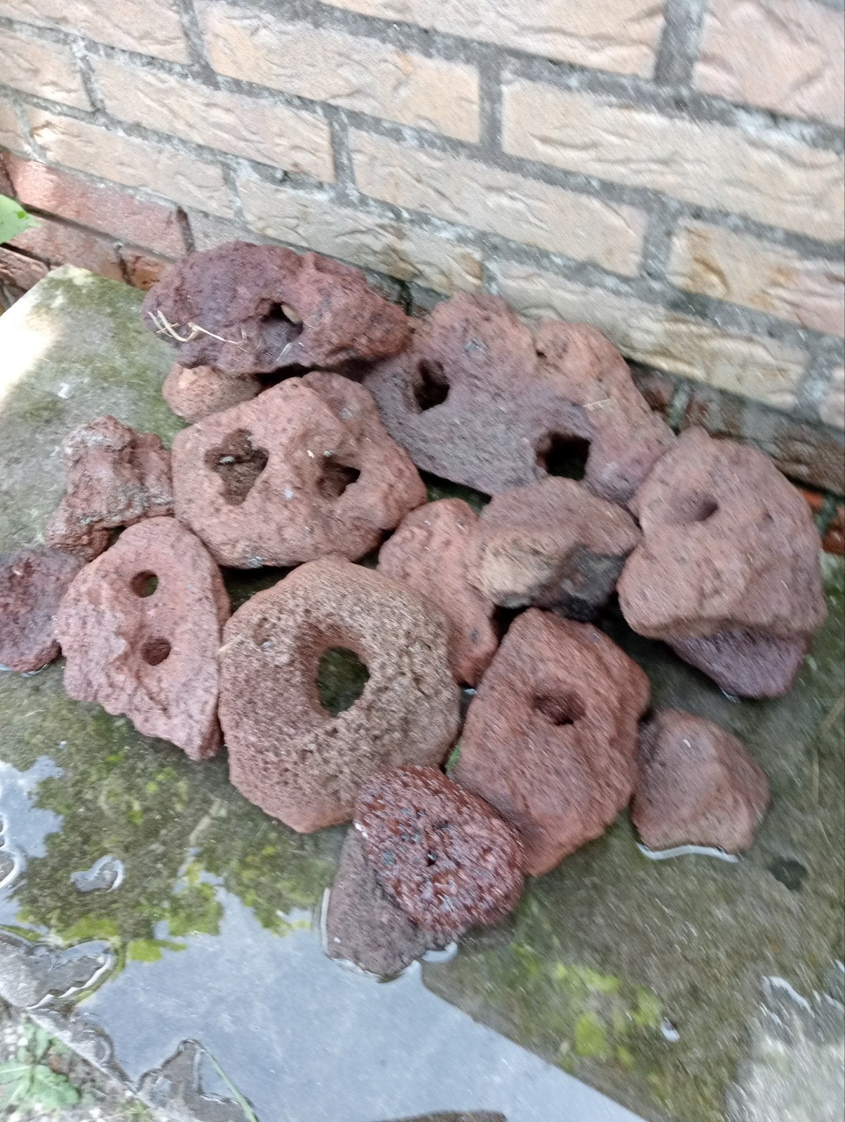 lavastenen met gaten!, Ophalen, Leeg aquarium