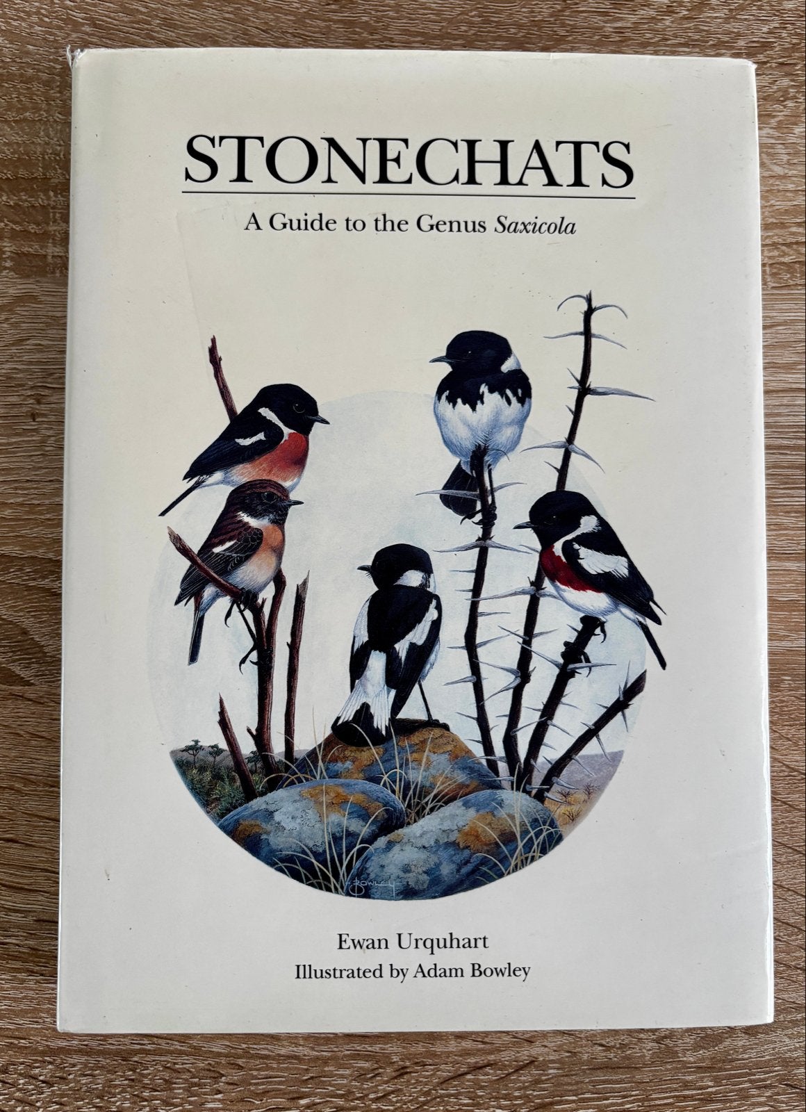 Stonechats: A Guide to the Genus Saxicola - Ewan Urquhart, Ophalen of Verzenden, Zo goed als nieuw, Vogels