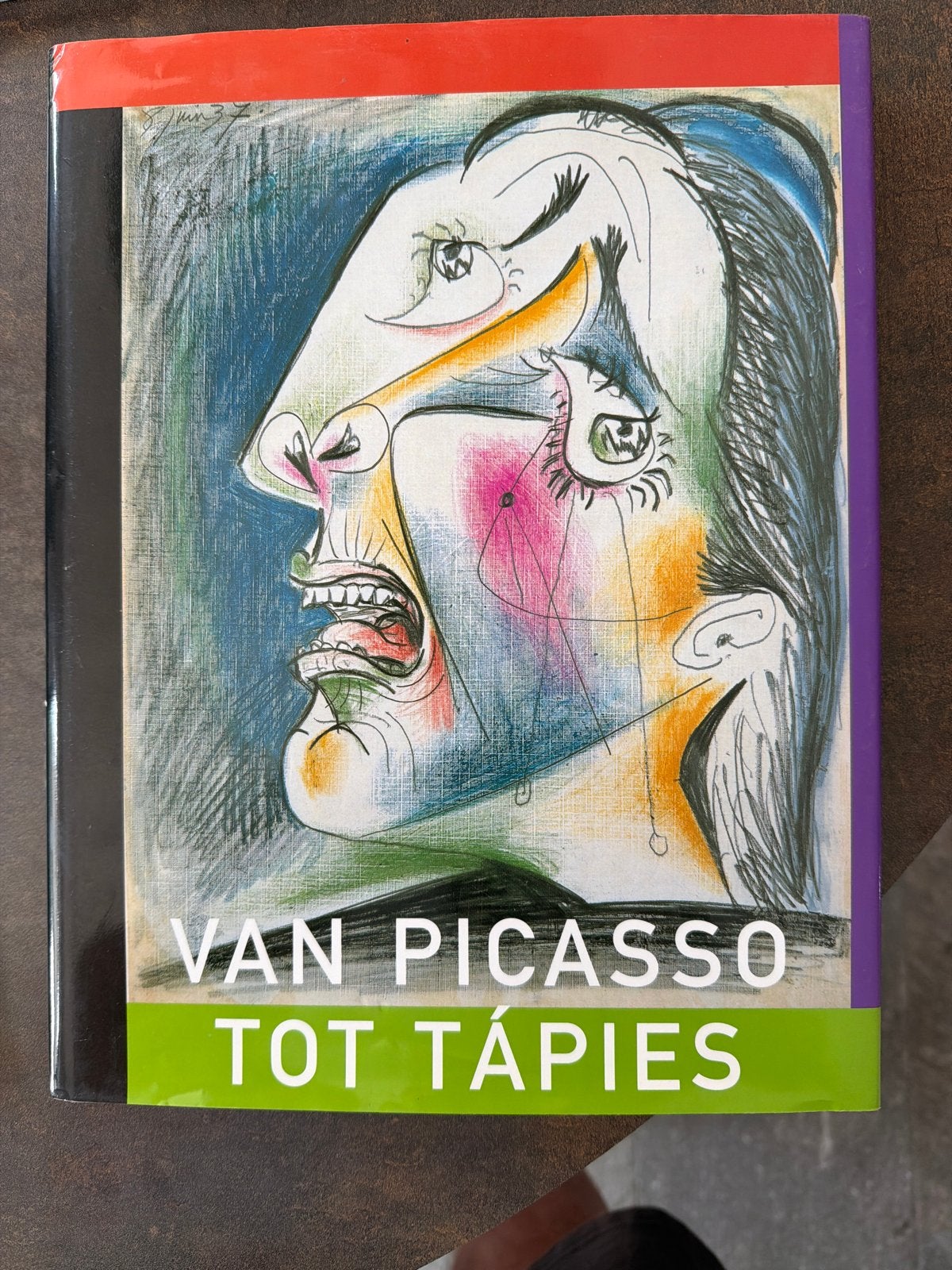 Van Picasso tot Tàpies - Kunstboek, Ophalen of Verzenden, Nieuw, Schilder- en Tekenkunst