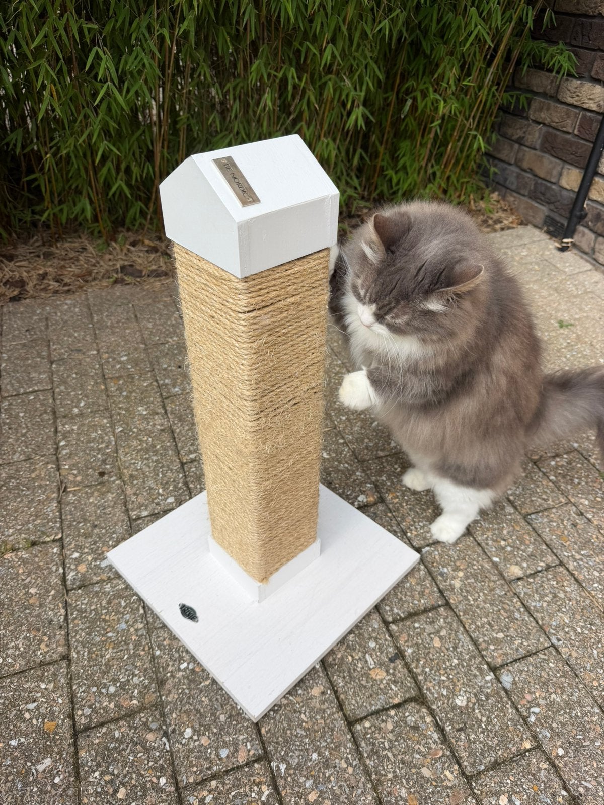 Katten krabpaal - Trixie Be Nordic - 60x34x34 cm, Ophalen, Zo goed als nieuw, Krabpaal