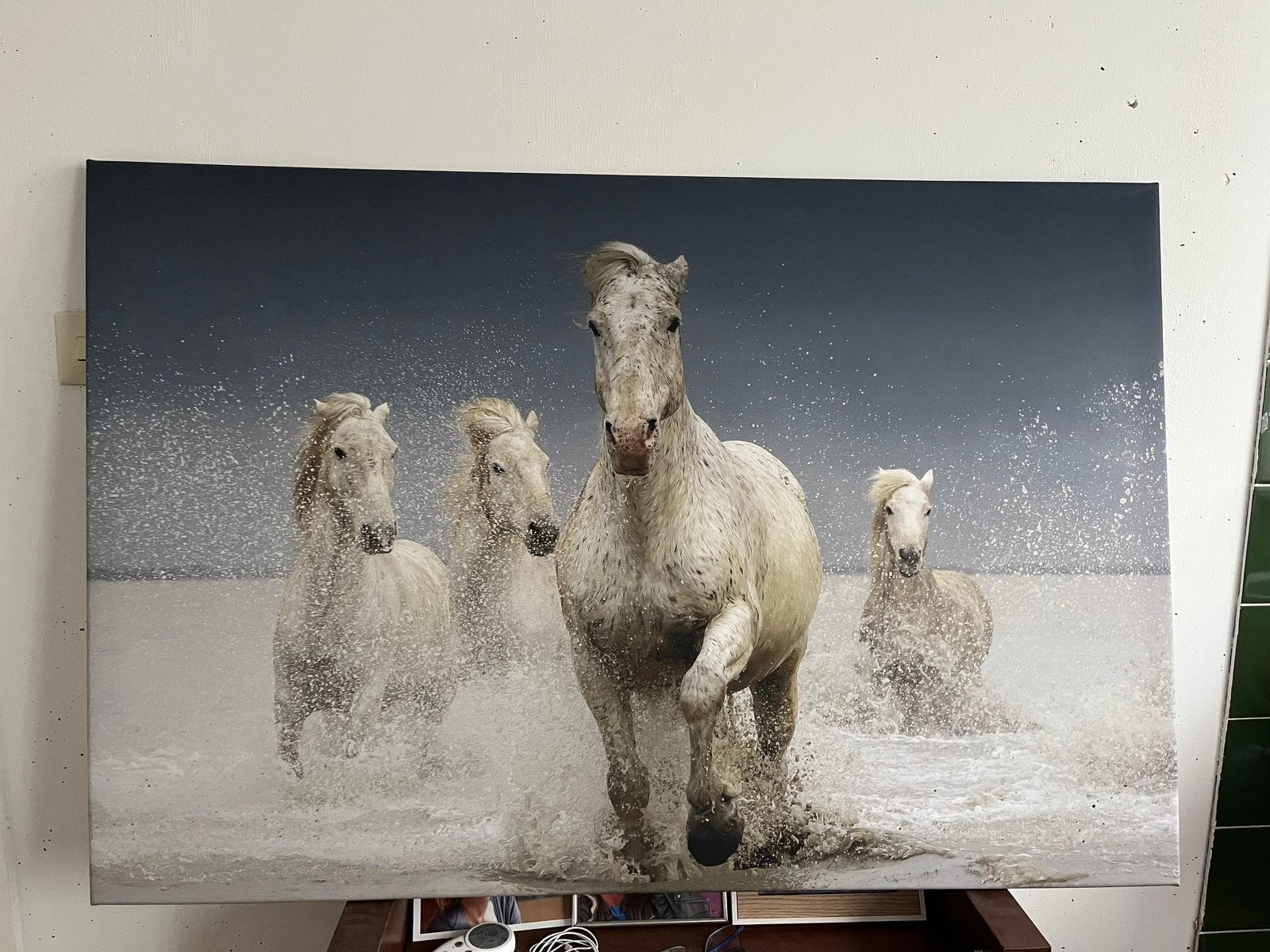 Mooie grote paarden canvas, Ophalen, Zo goed als nieuw, Schilderij, 100 tot 125 cm