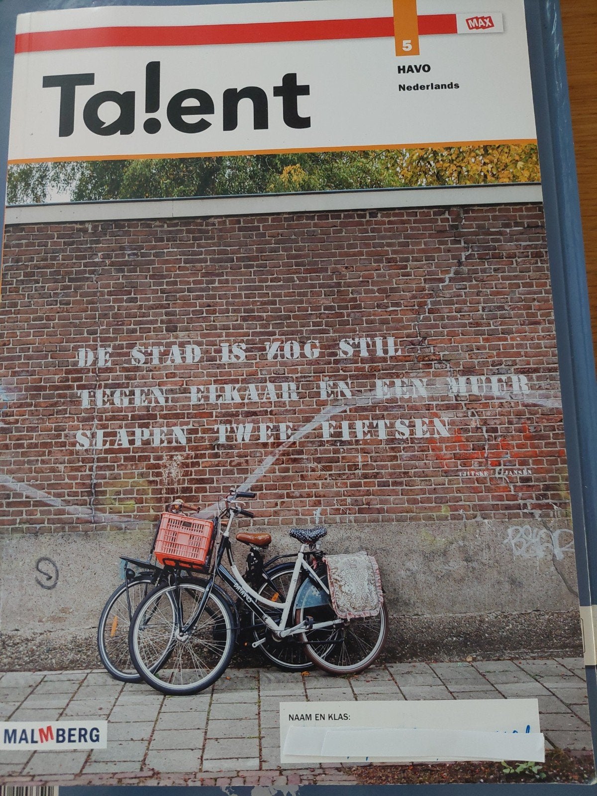 Talent Havo 5 Nederlands, Boeken, Schoolboeken, Malmberg, HAVO, Ophalen of Verzenden, Zo goed als nieuw