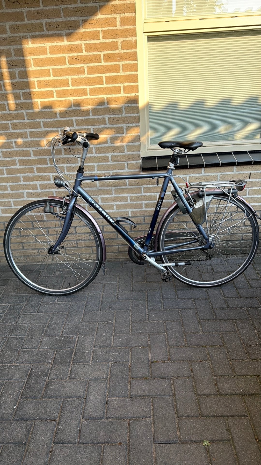 Gazelle Geneve Track&Trail, Ophalen, Minder dan 10 versnellingen, Gebruikt, Overige maten