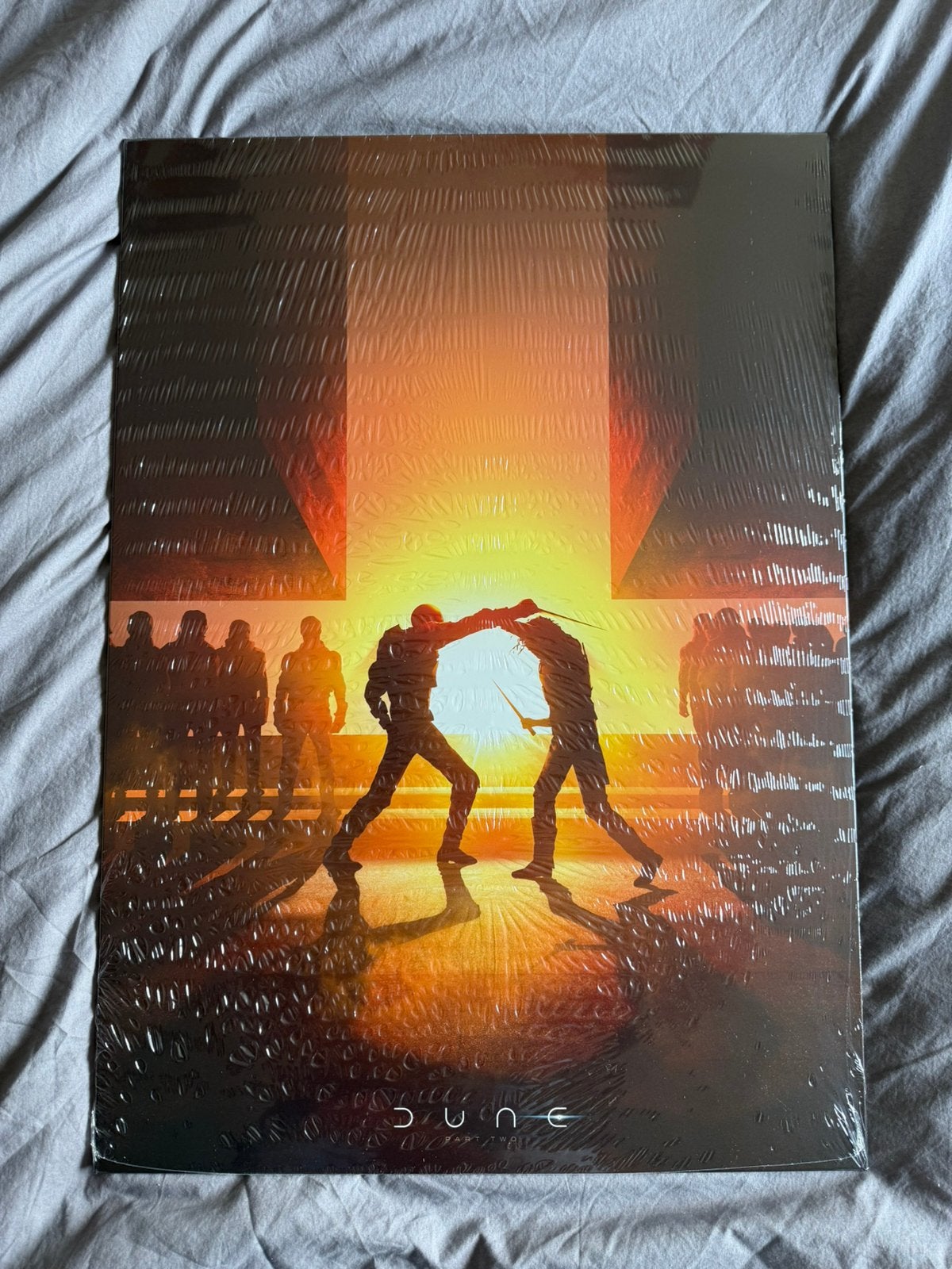 Displate, maat L, Dune, nog in plastic, Minder dan 50 cm, Nieuw, Ophalen of Verzenden, Print