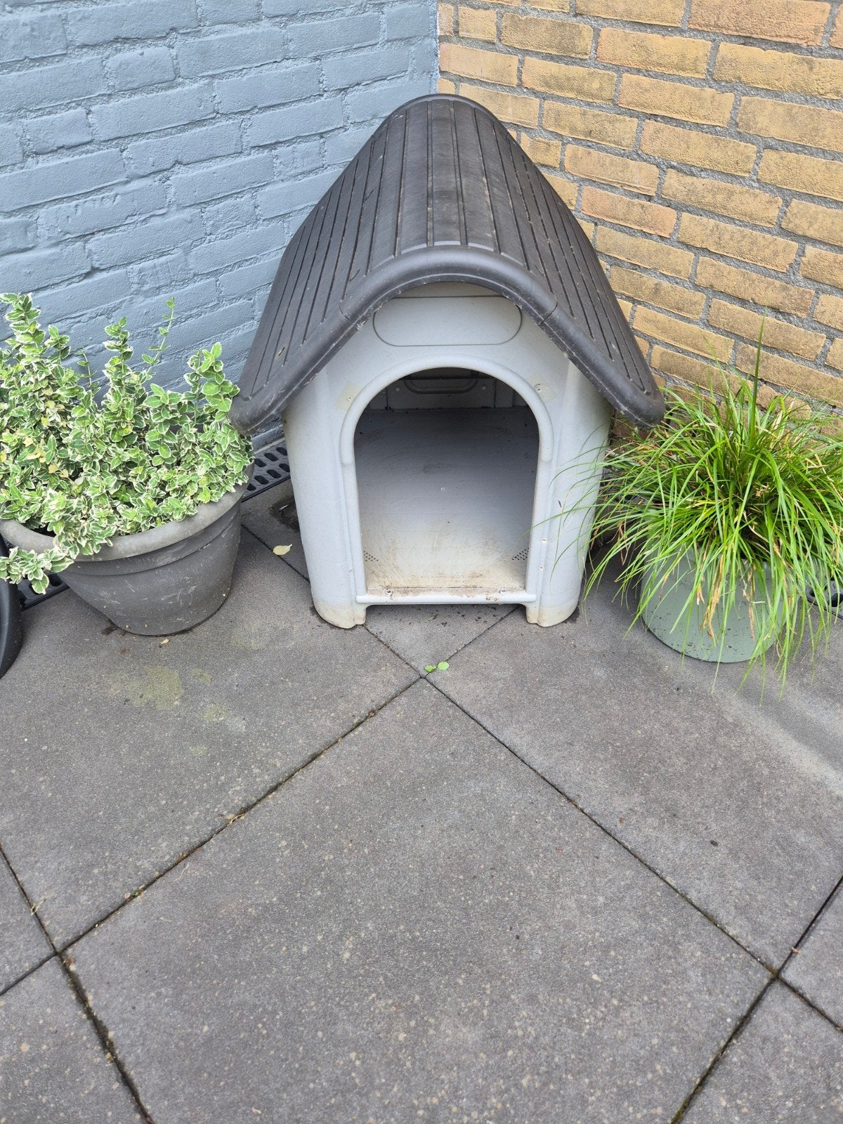 Honden hokje kunststof, Ophalen, Gebruikt, 110 cm of meer, 100 cm of meer