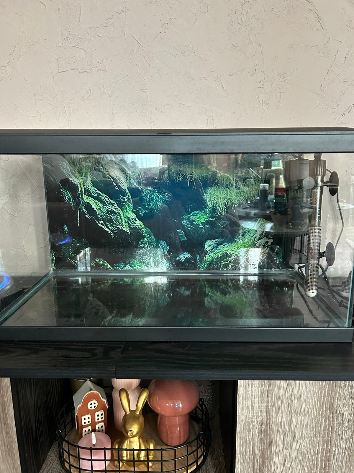 60 liter aquarium met decoratie, Overige merken, Zo goed als nieuw, Leeg aquarium, Ophalen