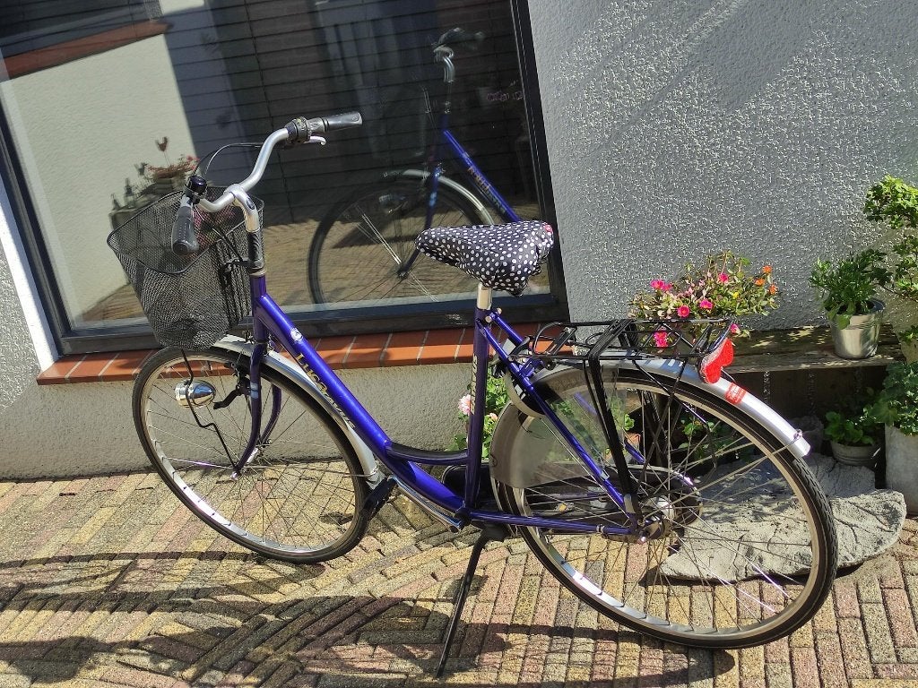 Damesfiets Batavus Luca, Ophalen, Terugtraprem, Batavus, 53 tot 56 cm