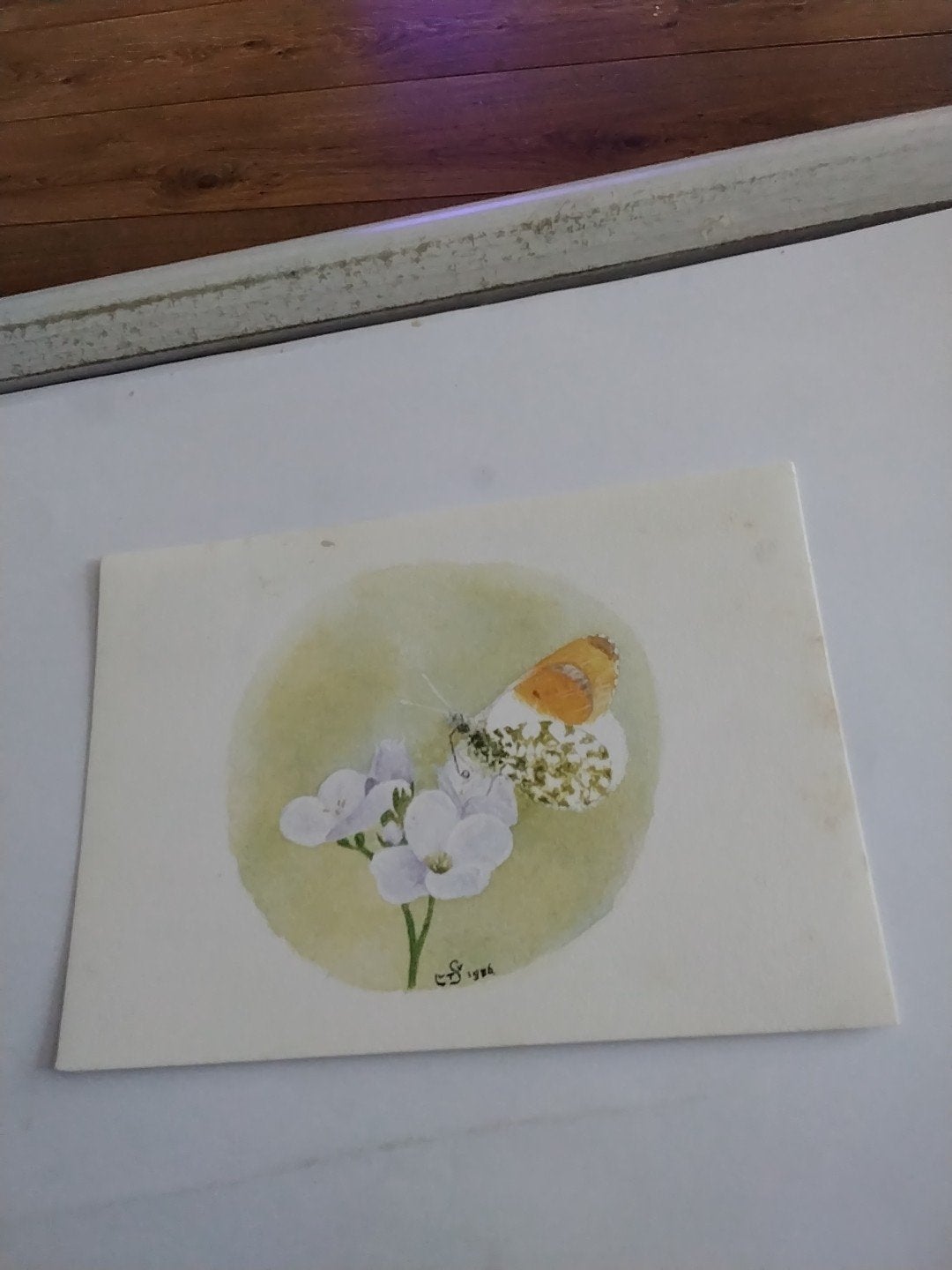 kaart met vlinder. (oranje-tipje)en bloemen,, Ophalen of Verzenden, 1980 tot heden